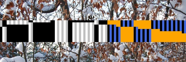 newsletterimage 2010nl12