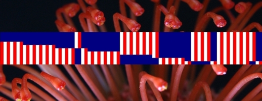 newsletterimage 2011nl04
