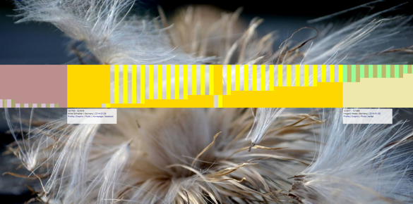 newsletterimage 2014nl05