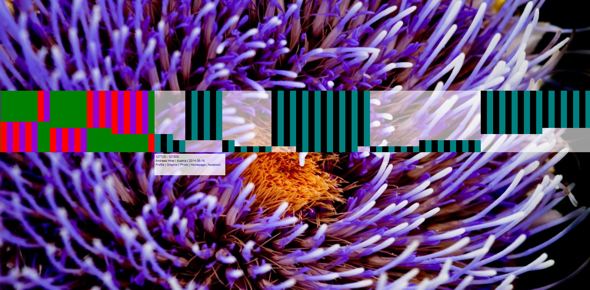 newsletterimage 2014nl07